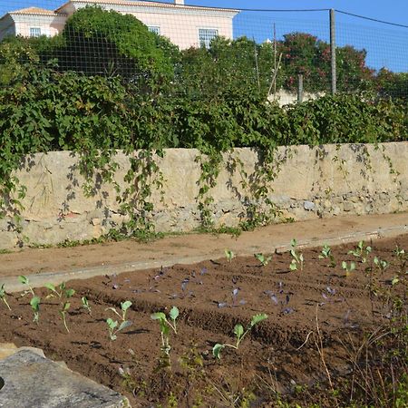 مبيت وإفطار سينترا Casalinho De Santo Antonio المظهر الخارجي الصورة